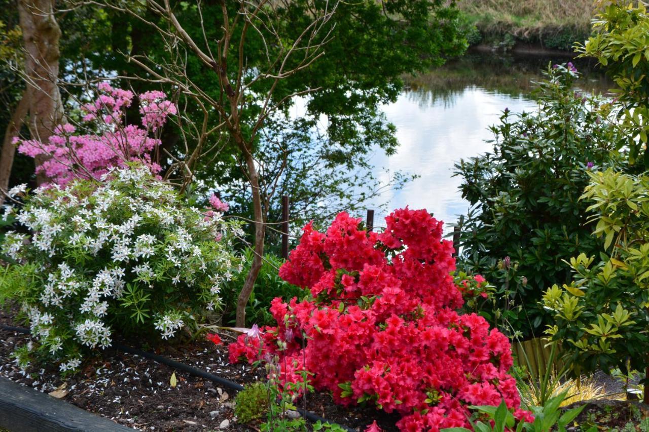 The Grove Lodge Guesthouse Killorglin ภายนอก รูปภาพ