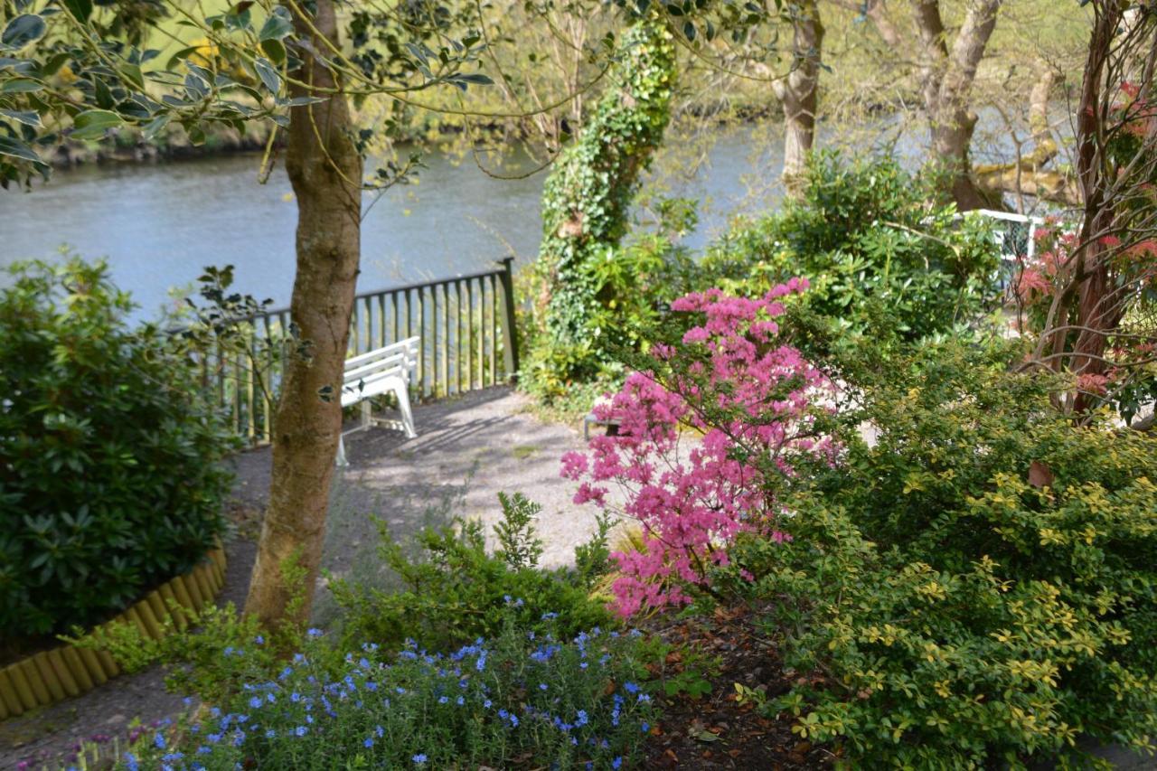 The Grove Lodge Guesthouse Killorglin ภายนอก รูปภาพ