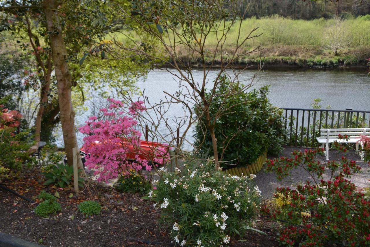 The Grove Lodge Guesthouse Killorglin ภายนอก รูปภาพ