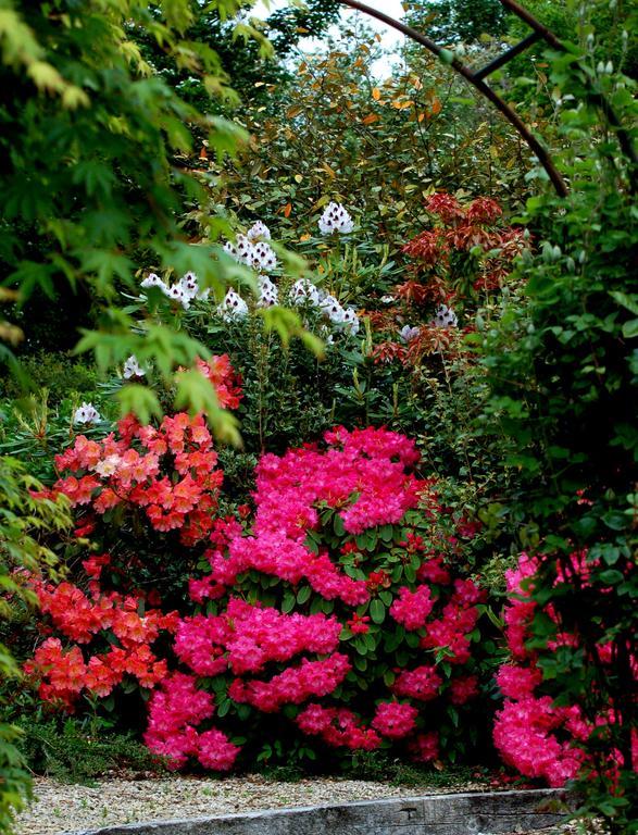The Grove Lodge Guesthouse Killorglin ภายนอก รูปภาพ