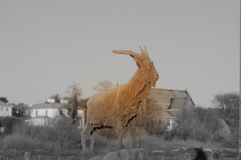 The Grove Lodge Guesthouse Killorglin ภายนอก รูปภาพ
