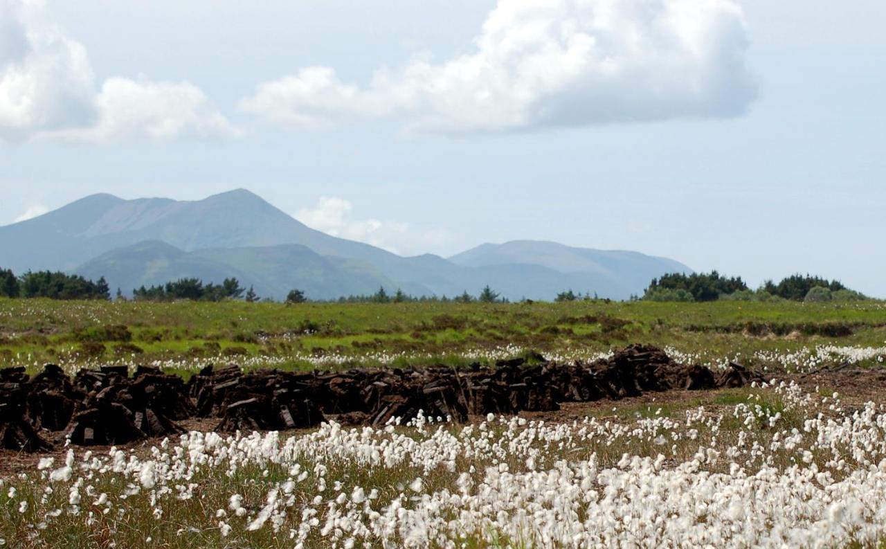 The Grove Lodge Guesthouse Killorglin ภายนอก รูปภาพ